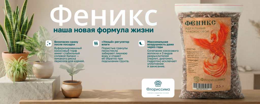 1500х600.png